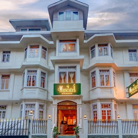 Muscatel Spring Burn - 100 Mts From Mall Road Darjeeling  Buitenkant foto