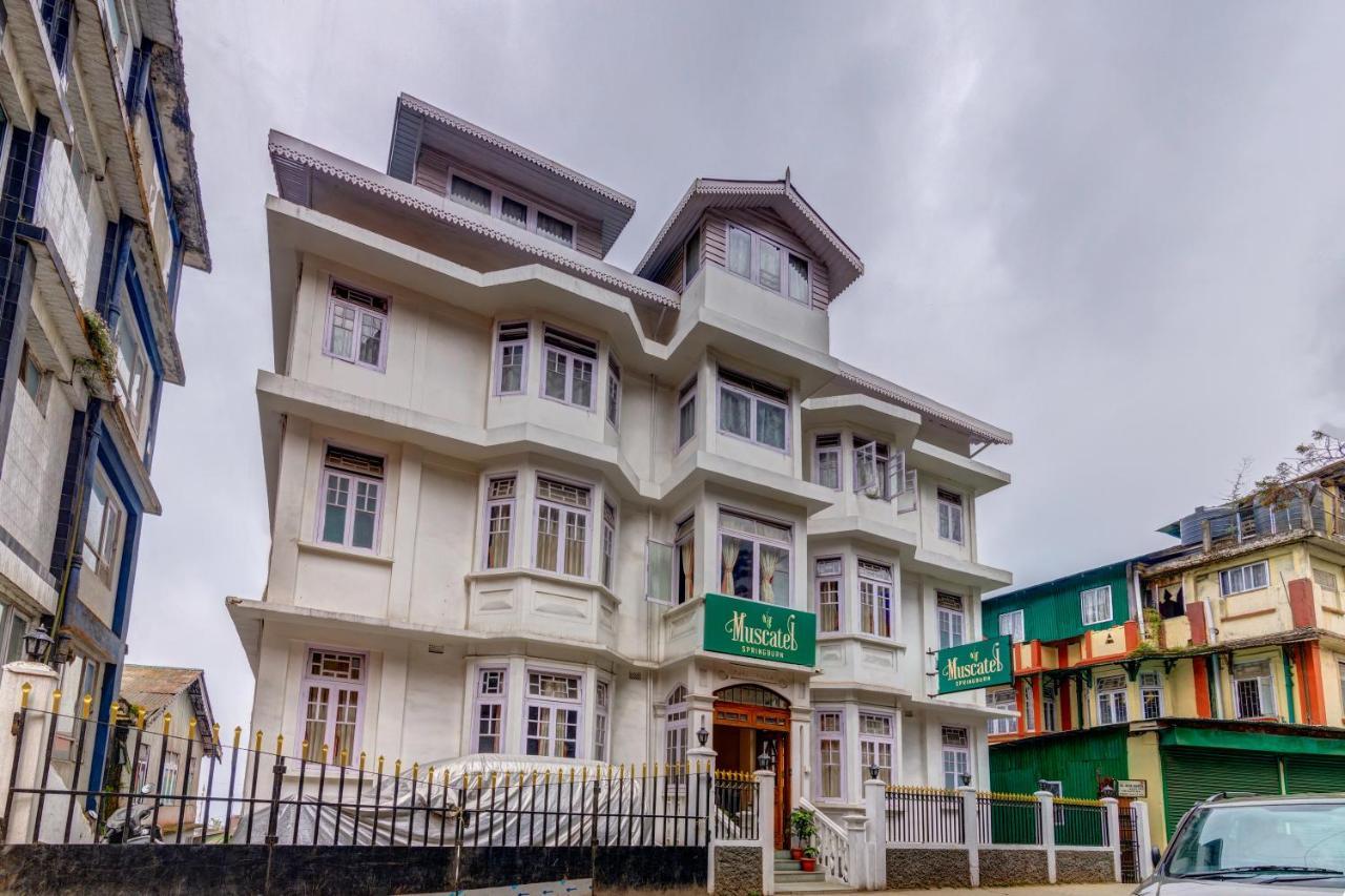 Muscatel Spring Burn - 100 Mts From Mall Road Darjeeling  Buitenkant foto